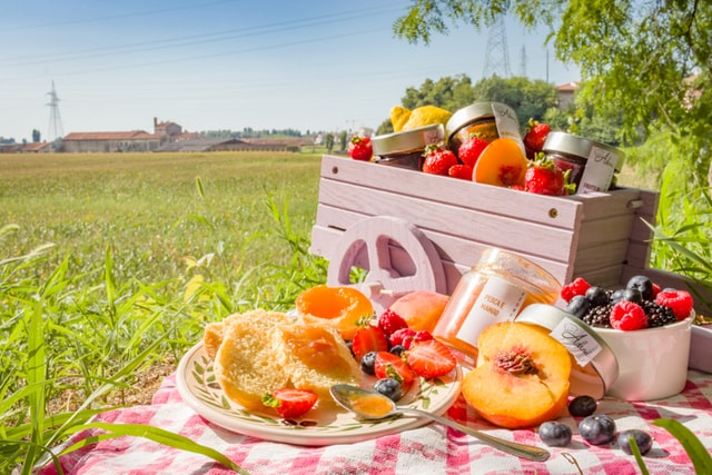 picnic